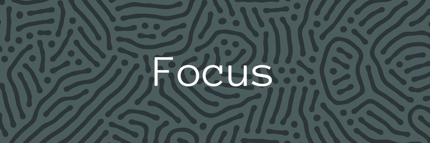 Forum-Fellowships-Focus